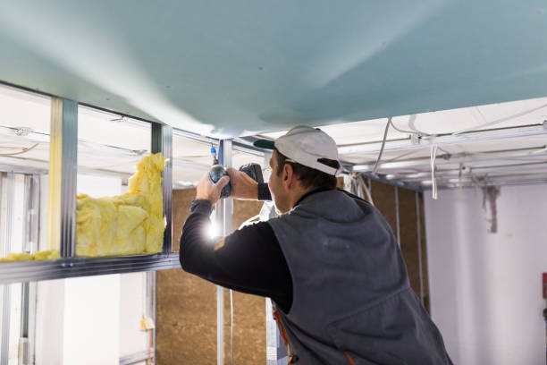 Best Residential Insulation Services  in Van Buren, AR