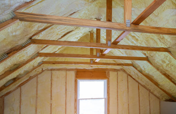 Best Attic Insulation Installation  in Van Buren, AR