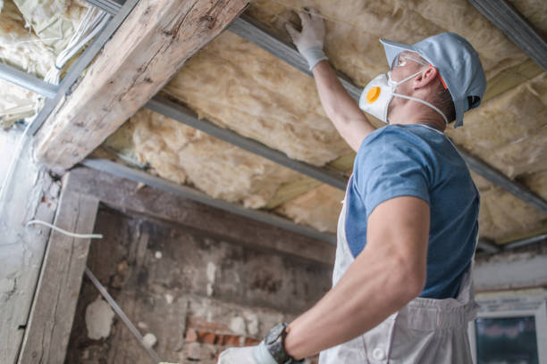 Best Wall Insulation Contractor  in Van Buren, AR