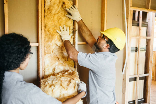 Best Commercial Insulation Contractor  in Van Buren, AR