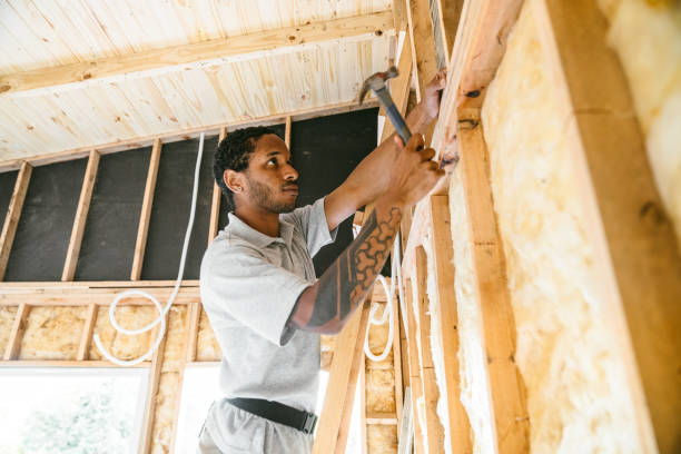 Best Insulation for New Construction  in Van Buren, AR