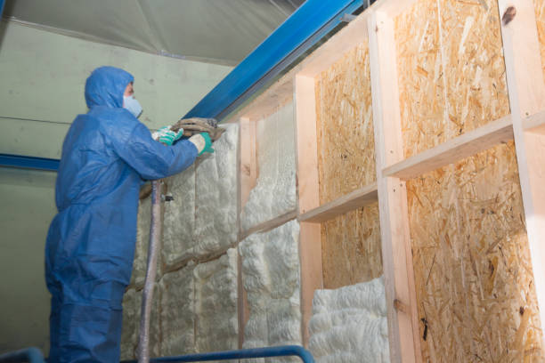 Best Spray Foam Insulation  in Van Buren, AR