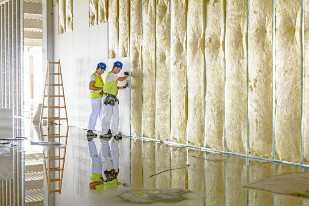 Best Fiberglass Insulation  in Van Buren, AR